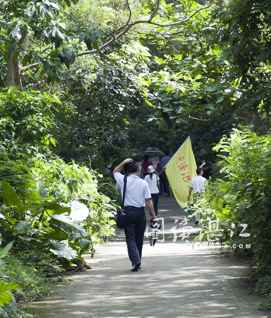 笔者跟随图读湛江组织的采风活动，再一次走进湖光岩风景区