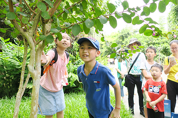 3、孩子们在观察植物生长特性.jpg